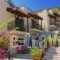 Bella Vista Apartments Stalis_holidays_in_Apartment_Crete_Heraklion_Malia
