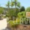 Stella Hotel_travel_packages_in_Dodekanessos Islands_Rhodes_Pefki