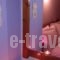Guesthouse Rousis_best deals_Hotel_Thessaly_Magnesia_Zagora