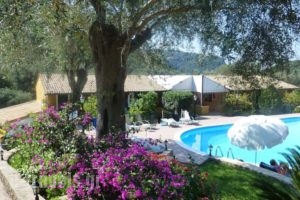 Aphrodite Studios_accommodation_in_Hotel_Ionian Islands_Corfu_Palaeokastritsa