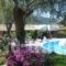 Aphrodite Studios_accommodation_in_Hotel_Ionian Islands_Corfu_Palaeokastritsa