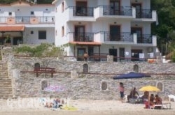 Dolphins House_s __1