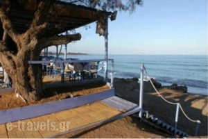 Studios Akrogiali_travel_packages_in_Thessaly_Magnesia_Pilio Area