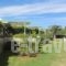 Nereids Apartments_lowest prices_in_Apartment_Crete_Lasithi_Sitia
