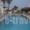Floral Studios_holidays_in_Hotel_Dodekanessos Islands_Kos_Kos Rest Areas