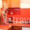 Floral Studios_lowest prices_in_Hotel_Dodekanessos Islands_Kos_Kos Rest Areas