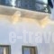 Hydroussa Hotel Hydra_accommodation_in_Hotel_PiraeusIslands - Trizonia_Hydra_Hydra Chora