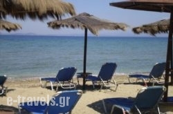 Art Lesvos Villas_s __1