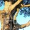 Pernari Apartments_accommodation_in_Apartment_Ionian Islands_Kefalonia_Vlachata