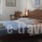Hydroussa Hotel Hydra_holidays_in_Hotel_PiraeusIslands - Trizonia_Hydra_Hydra Chora