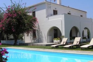 Villa Irini_accommodation_in_Villa_Piraeus Islands - Trizonia_Spetses_Spetses Chora