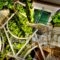 Acroploro_accommodation_in_Hotel_Central Greece_Fokida_Galaxidi