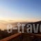 The Lotus Tree Archontiko_holidays_in_Hotel_Thessaly_Magnesia_Paou
