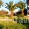 Rooms with View_best deals_Room_Macedonia_Halkidiki_Haniotis - Chaniotis