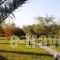 Rooms with View_accommodation_in_Room_Macedonia_Halkidiki_Haniotis - Chaniotis