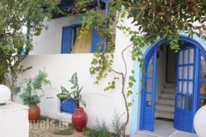 Vitzileos Studios_accommodation_in_Hotel_Cyclades Islands_Naxos_Naxos chora