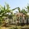 Penny & Elias_lowest prices_in_Hotel_Ionian Islands_Zakinthos_Zakinthos Chora