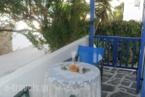 Vitzileos Studios_travel_packages_in_Cyclades Islands_Naxos_Naxos chora