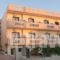 Theoni Apartments_best prices_in_Apartment_Crete_Heraklion_Malia