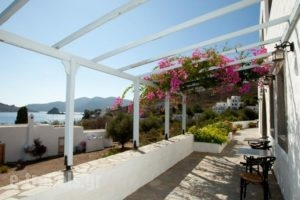 Apolafsis Studios_accommodation_in_Hotel_Dodekanessos Islands_Patmos_Patmos Chora