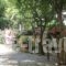 La Luna Apartments_best prices_in_Apartment_Crete_Heraklion_Malia