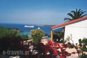 Ventura Rooms_holidays_in_Room_Ionian Islands_Kefalonia_Kefalonia'st Areas