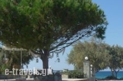 Akti Kastraki Areti Bungalows_s __1