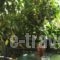 Thalia Hotel_travel_packages_in_Crete_Lasithi_Sitia