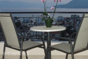 Niovi Studios_holidays_in_Hotel_Central Greece_Evia_Edipsos