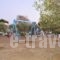 Dolphin Apartments_accommodation_in_Apartment_Crete_Chania_Fragokastello