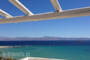 Blue Dolphin_accommodation_in_Hotel_Cyclades Islands_Antiparos_Antiparos Chora