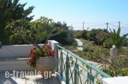 Villa Petri_s __6