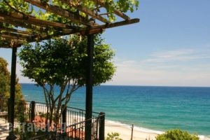 Papa Nero Studios And Apartments_travel_packages_in_Thessaly_Magnesia_Mouresi