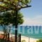 Papa Nero Studios And Apartments_travel_packages_in_Thessaly_Magnesia_Mouresi