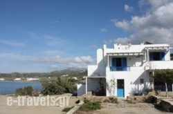 Orkos Blue Coast_s __1