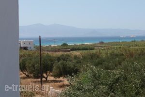 Studios Michel_best prices_in_Hotel_Cyclades Islands_Paros_Paros Chora