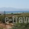 Studios Michel_best prices_in_Hotel_Cyclades Islands_Paros_Paros Chora