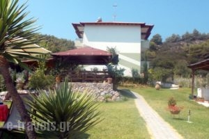 Nikos Apartments_travel_packages_in_Macedonia_Halkidiki_Chalkidiki Area