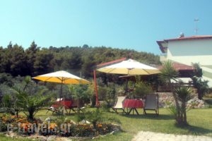 Nikos Apartments_holidays_in_Apartment_Macedonia_Halkidiki_Chalkidiki Area