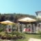 Nikos Apartments_holidays_in_Apartment_Macedonia_Halkidiki_Chalkidiki Area