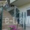 Nikos Apartments_best deals_Apartment_Macedonia_Halkidiki_Chalkidiki Area