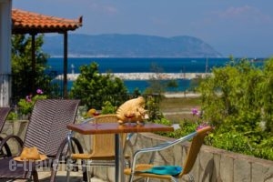 Hovolo Hotel Apartments_best prices_in_Apartment_Sporades Islands_Skopelos_Neo Klima - Elios