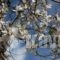 Nautilus_best deals_Hotel_Central Greece_Fokida_Galaxidi