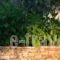 Ipsario Garden Hotel_best prices_in_Hotel_Aegean Islands_Thasos_Thasos Chora