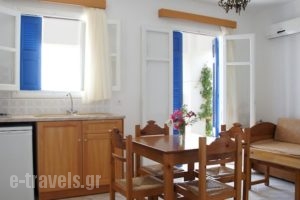 Pleiades Apartments_lowest prices_in_Apartment_Dodekanessos Islands_Karpathos_Karpathos Chora