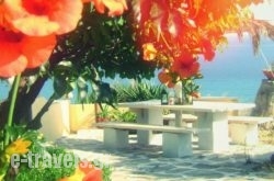 Villa Olga_s __1