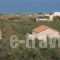 Gerolakos Villas_accommodation_in_Villa_Crete_Rethymnon_Rethymnon City