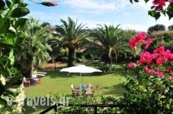 Villa Fleria Seaside Studios & Apts_s __1