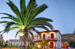 Andriotis Studios_s __1