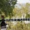 Gikas Apartments_best deals_Apartment_Central Greece_Evia_Krya Vrysi